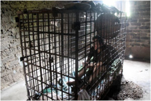 a man in a small steel cage on a concrete floor