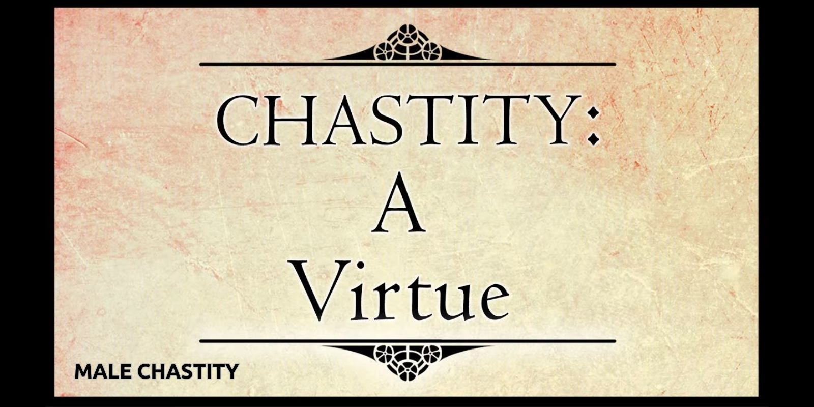 chastity vs abstinence